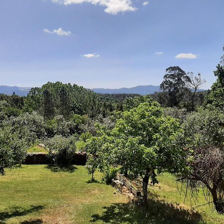 Porturama Bed & Breakfast Mouronho Dış mekan fotoğraf