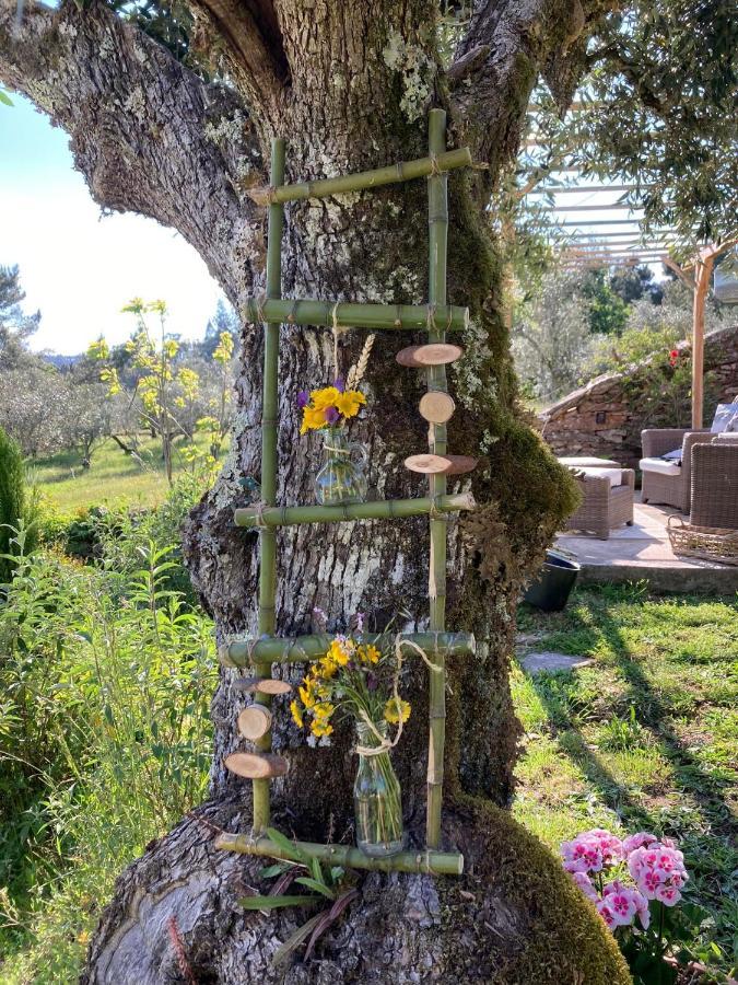 Porturama Bed & Breakfast Mouronho Dış mekan fotoğraf