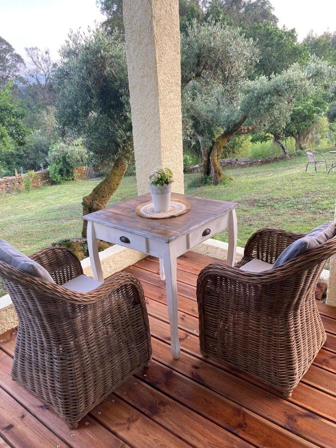 Porturama Bed & Breakfast Mouronho Dış mekan fotoğraf
