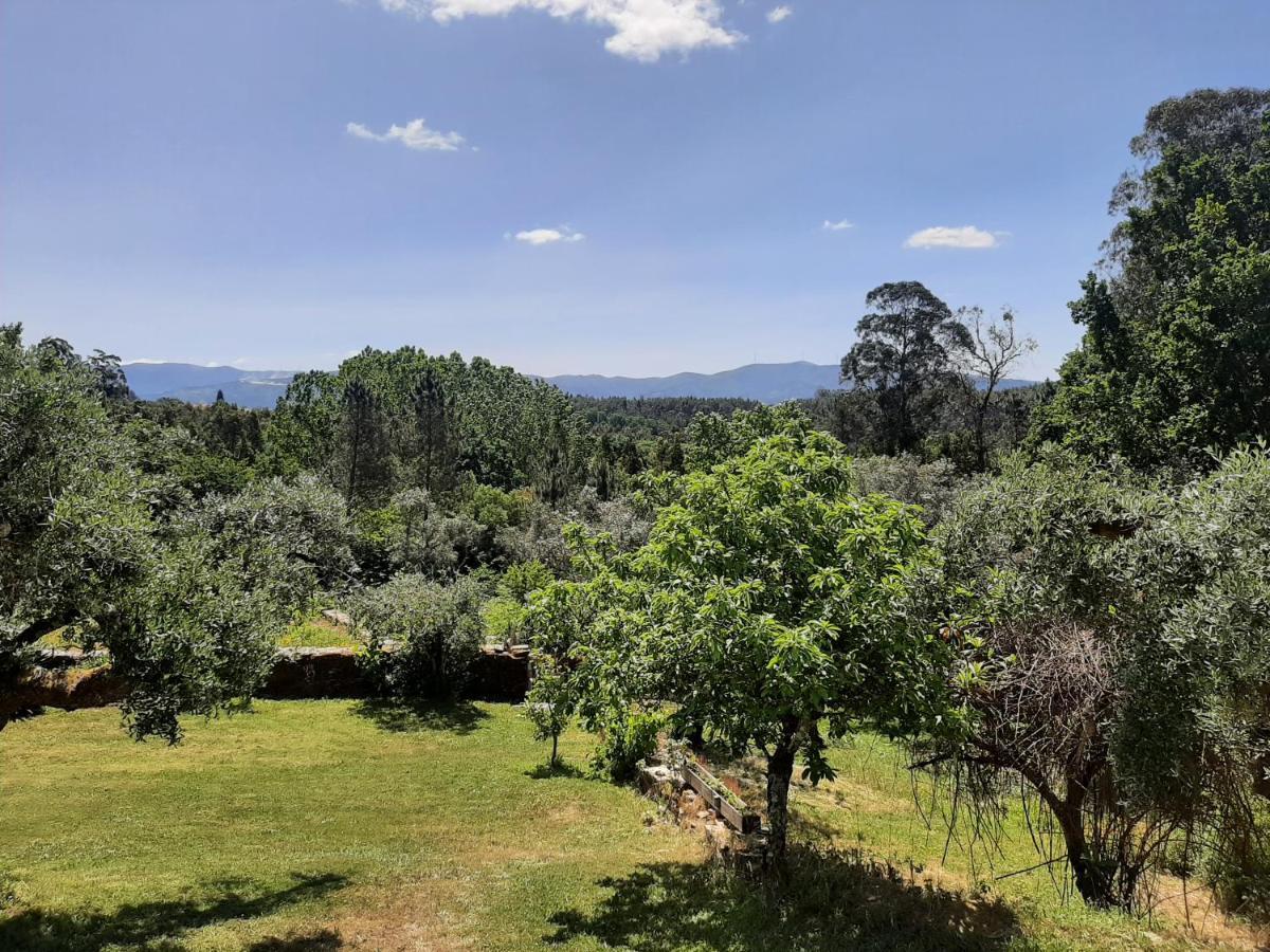 Porturama Bed & Breakfast Mouronho Dış mekan fotoğraf